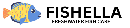 fresh water fish care